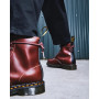 Boots Homme DR MARTENS 1460 Marron et Noir 26906201 | Cloane Vannes