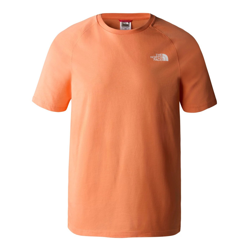 Tee-shirt Homme THE NORTH FACE Denali Orange Cloane Vannes