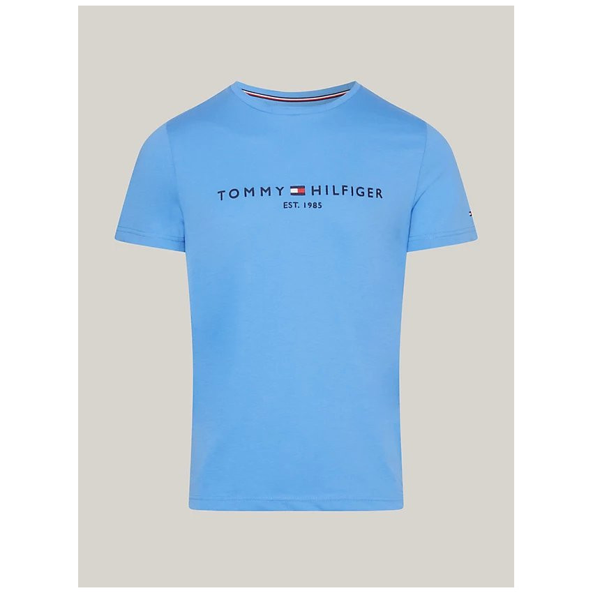 T-Shirt Tommy Hilfiger Homme LOGO Bleu Cloane Vannes MW0MW11797