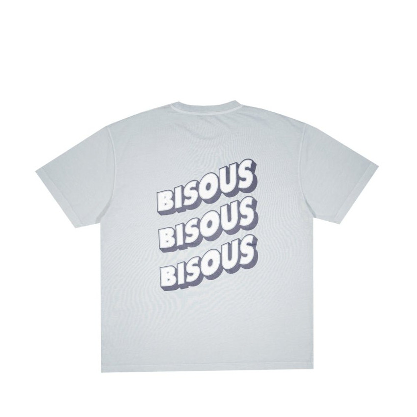 T-Shirt Mixte Bisous Skateboards SONICS Gris Clair Cloane Vannes