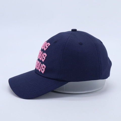 Casquette Mixte Bisous Skateboards BISOUS X3 Bleu Marine Cloane Vannes
