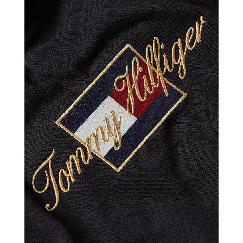 Sweat à Capuche Tommy Hilfiger Homme ICON GOLD Noir Cloane Vannes MW0MW41502