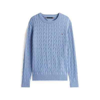 Pull Homme Tommy Hilfiger CLASSIC Bleu Cloane Vannes MW0MW33132