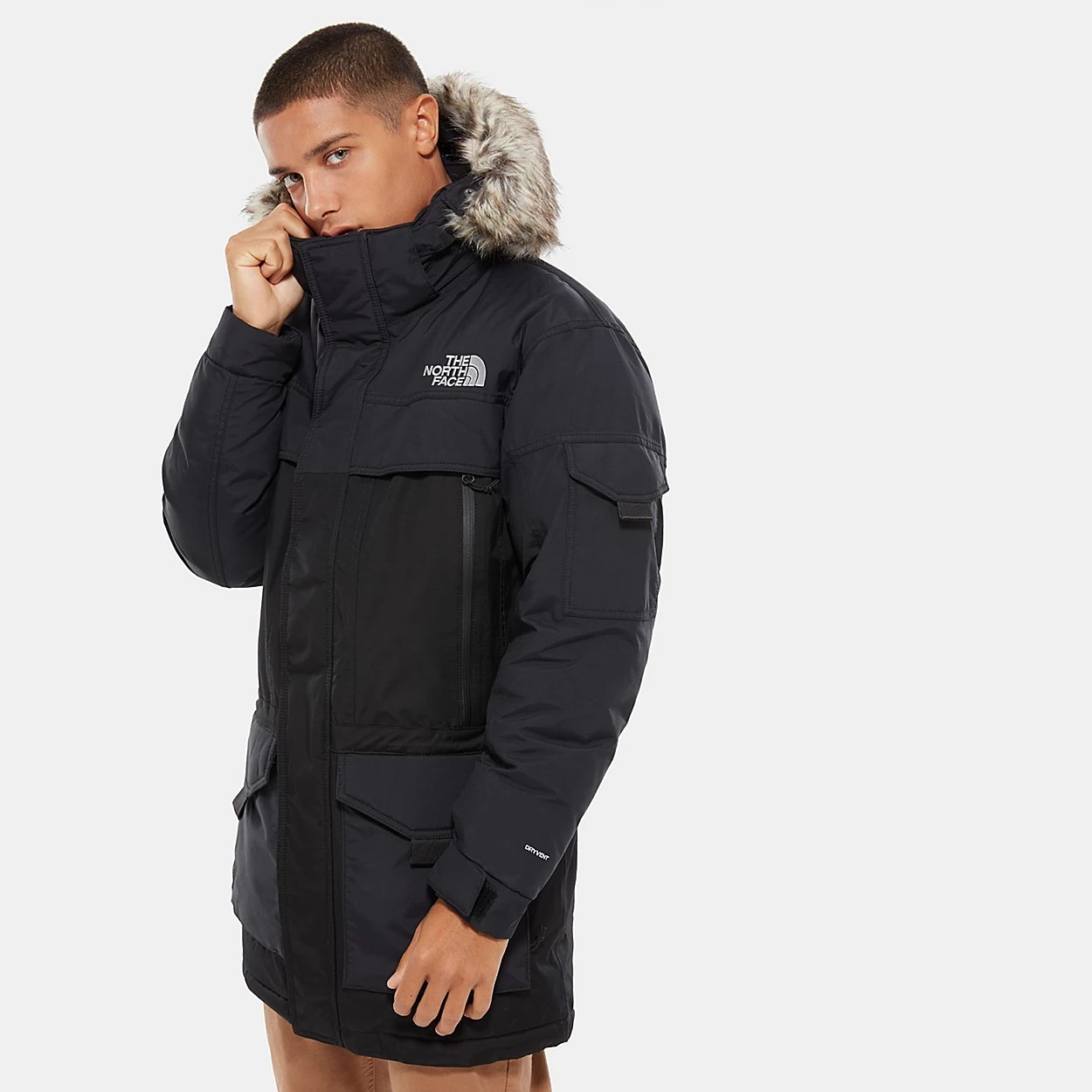 the north face parka